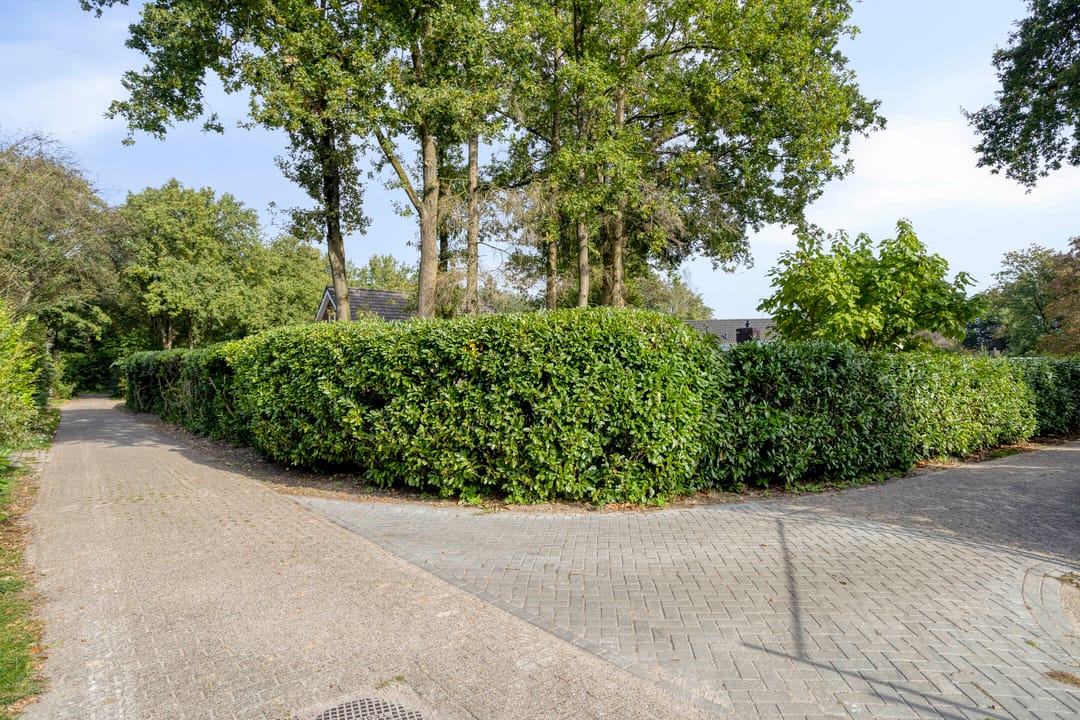 Foto 38 van De Valouwe 65