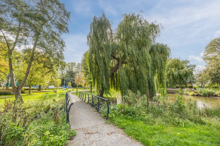 Foto 49 van Nicolaas Peckstraat 21