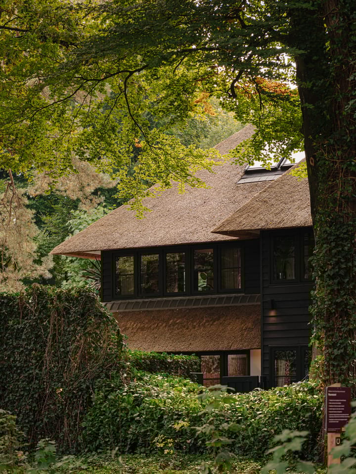 Foto 3 van Melkweg 11