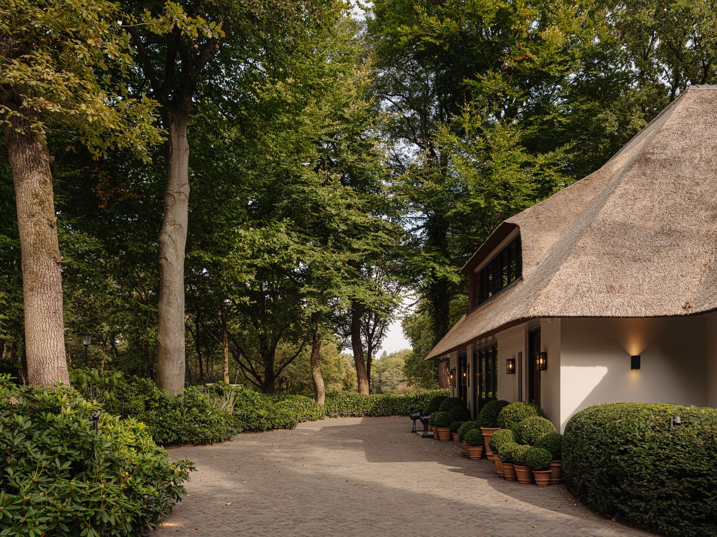 Foto 4 van Melkweg 11