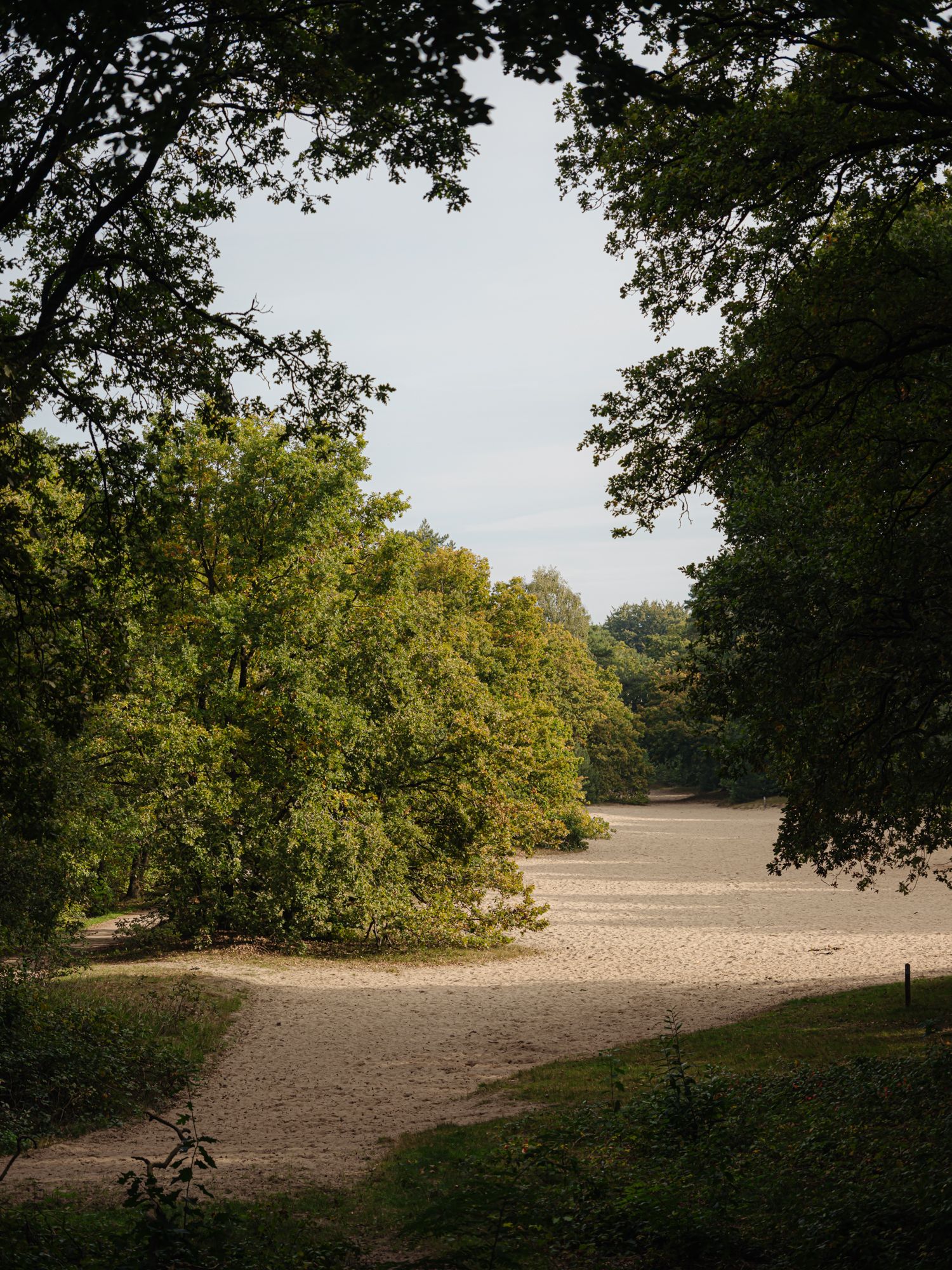 Foto 6 van Melkweg 11