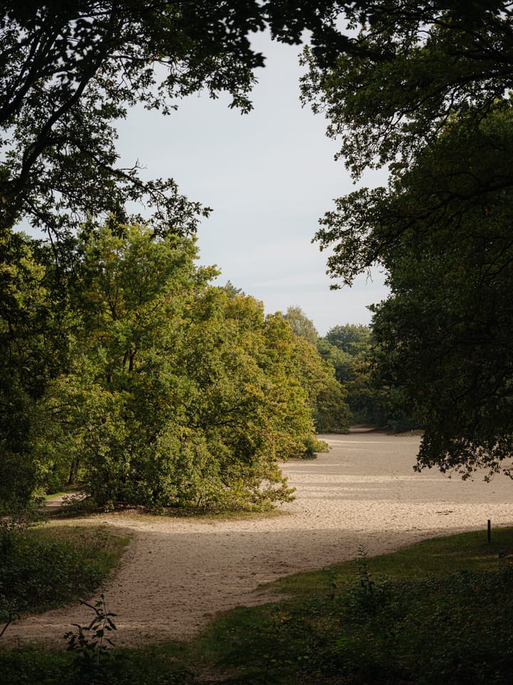 Foto 6 van Melkweg 11