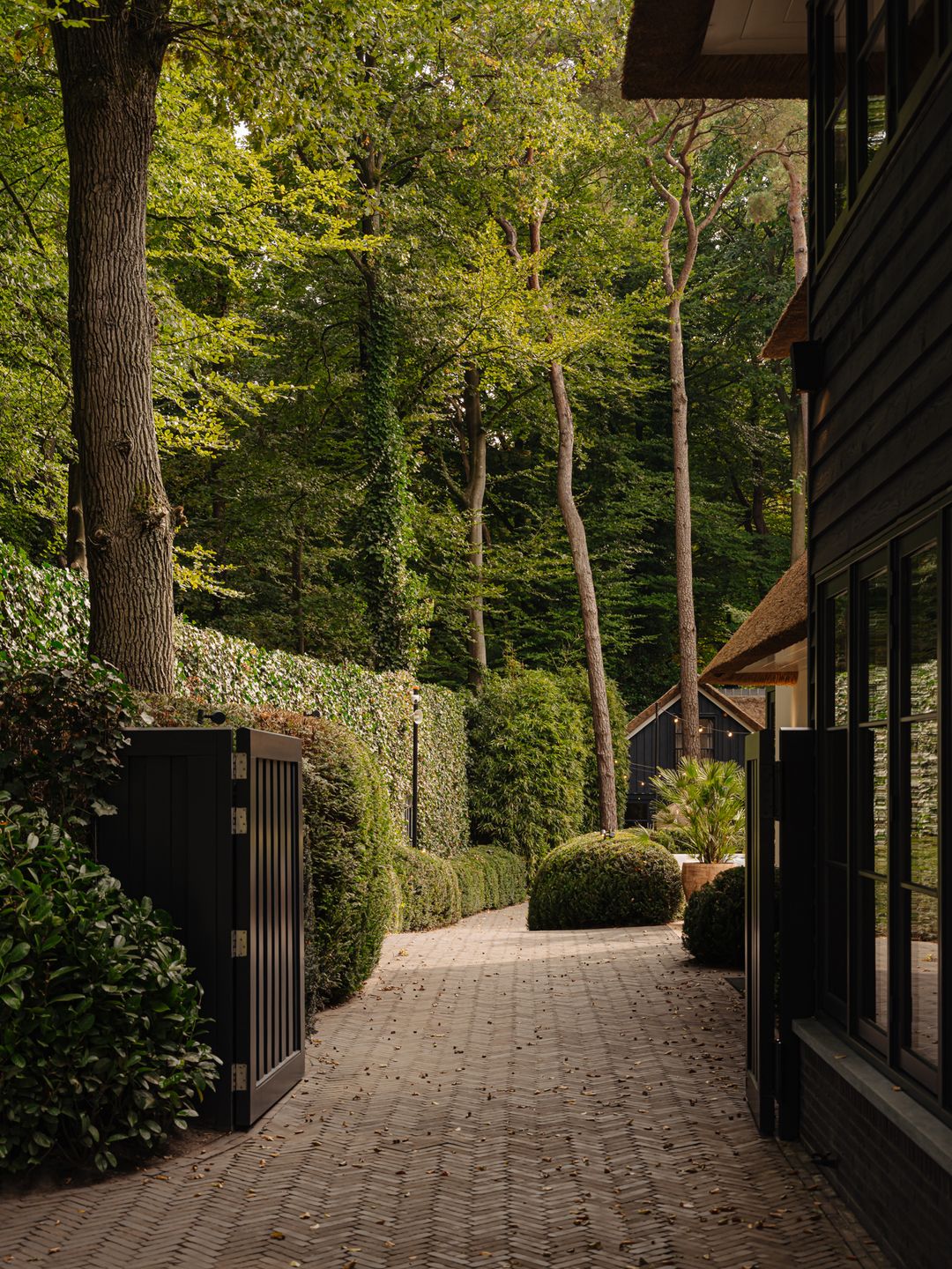 Foto 7 van Melkweg 11