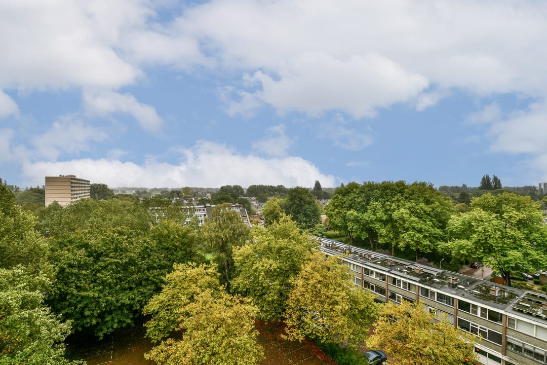 Foto 2 van Max Havelaarlaan 557