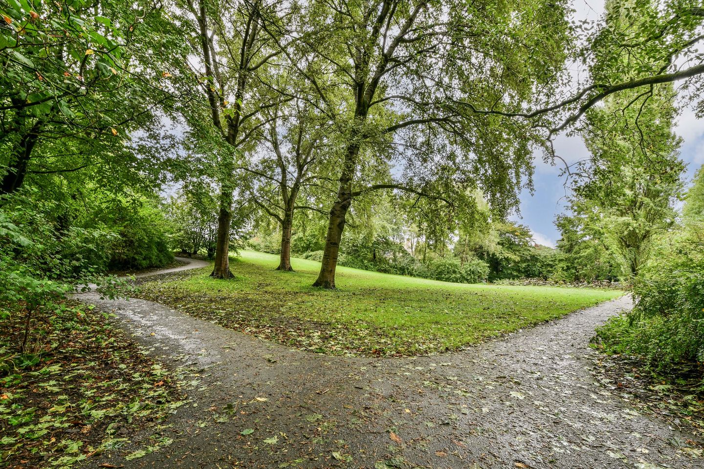 Foto 20 van Max Havelaarlaan 557