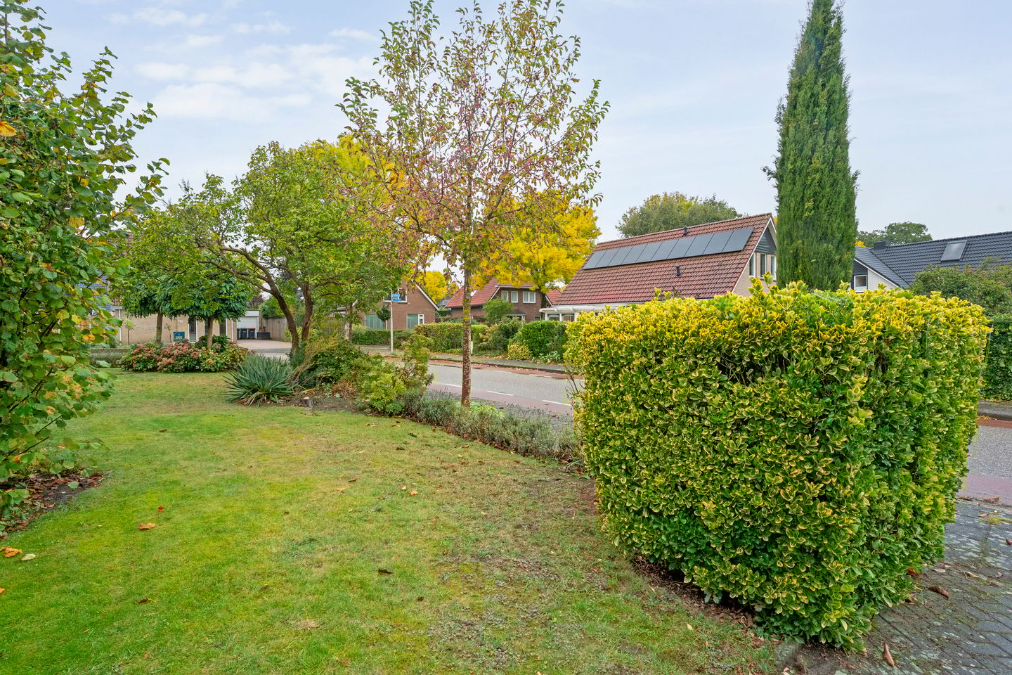 Foto 50 van Floralaan 130