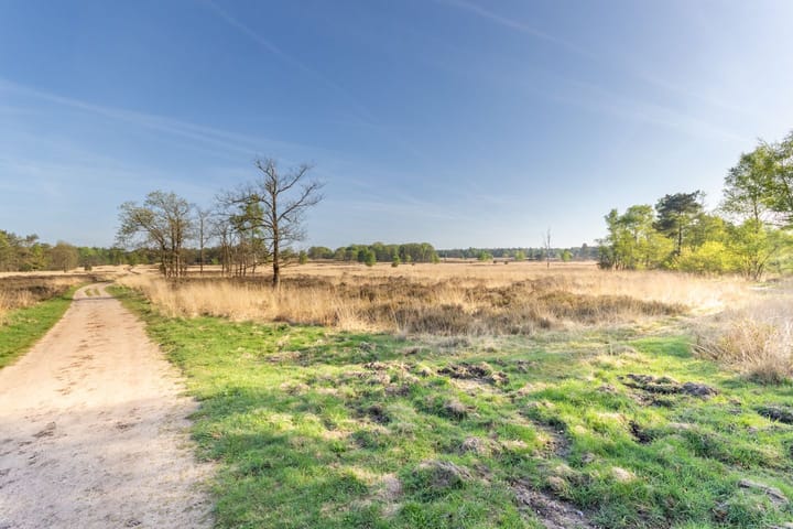 Photo 35 of Krimweg 160-399