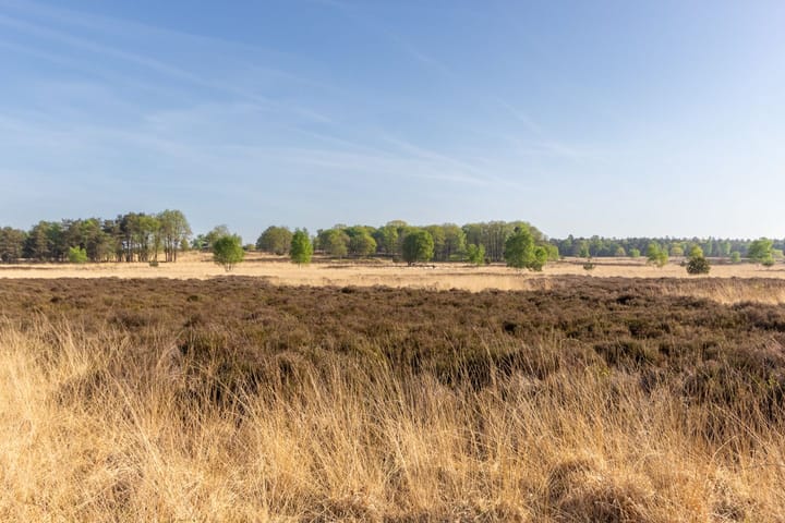 Photo 36 of Krimweg 160-399