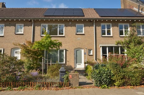 undefined main image