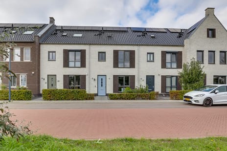 undefined main image