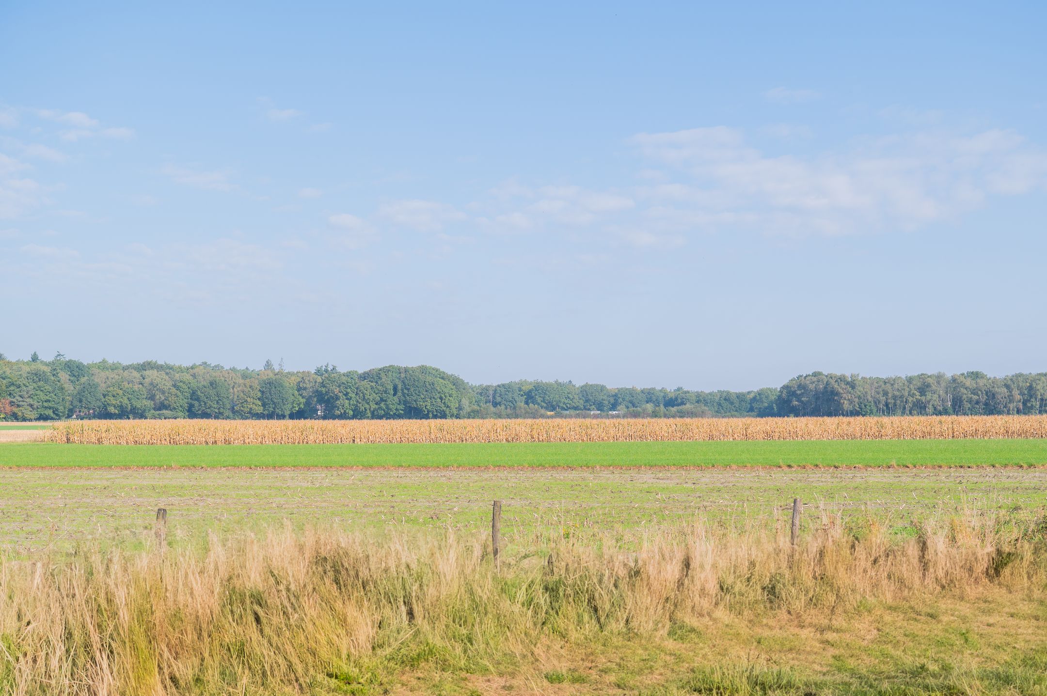 Foto 27 van Holterenkstraat 4