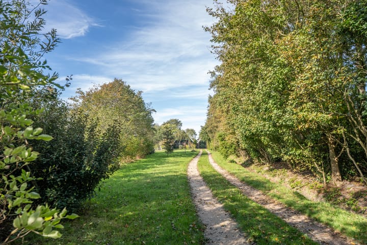 Foto 3 van Pontweg 197