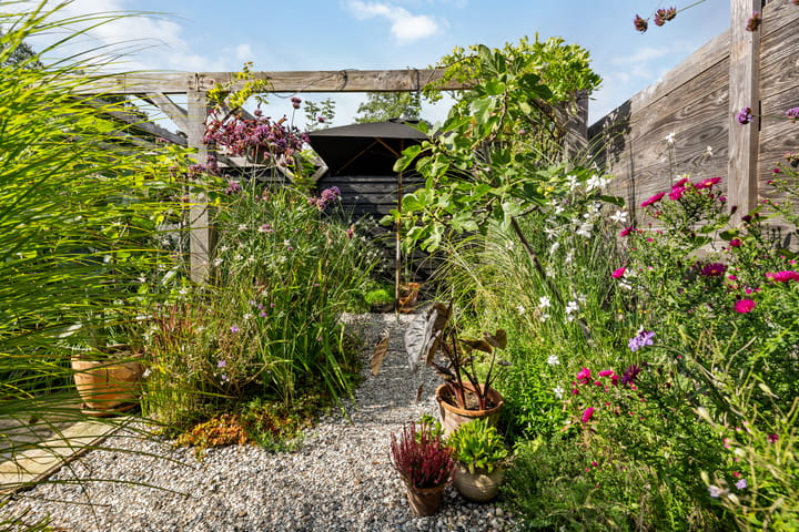 Photo 20 of Achter de Hoven 25