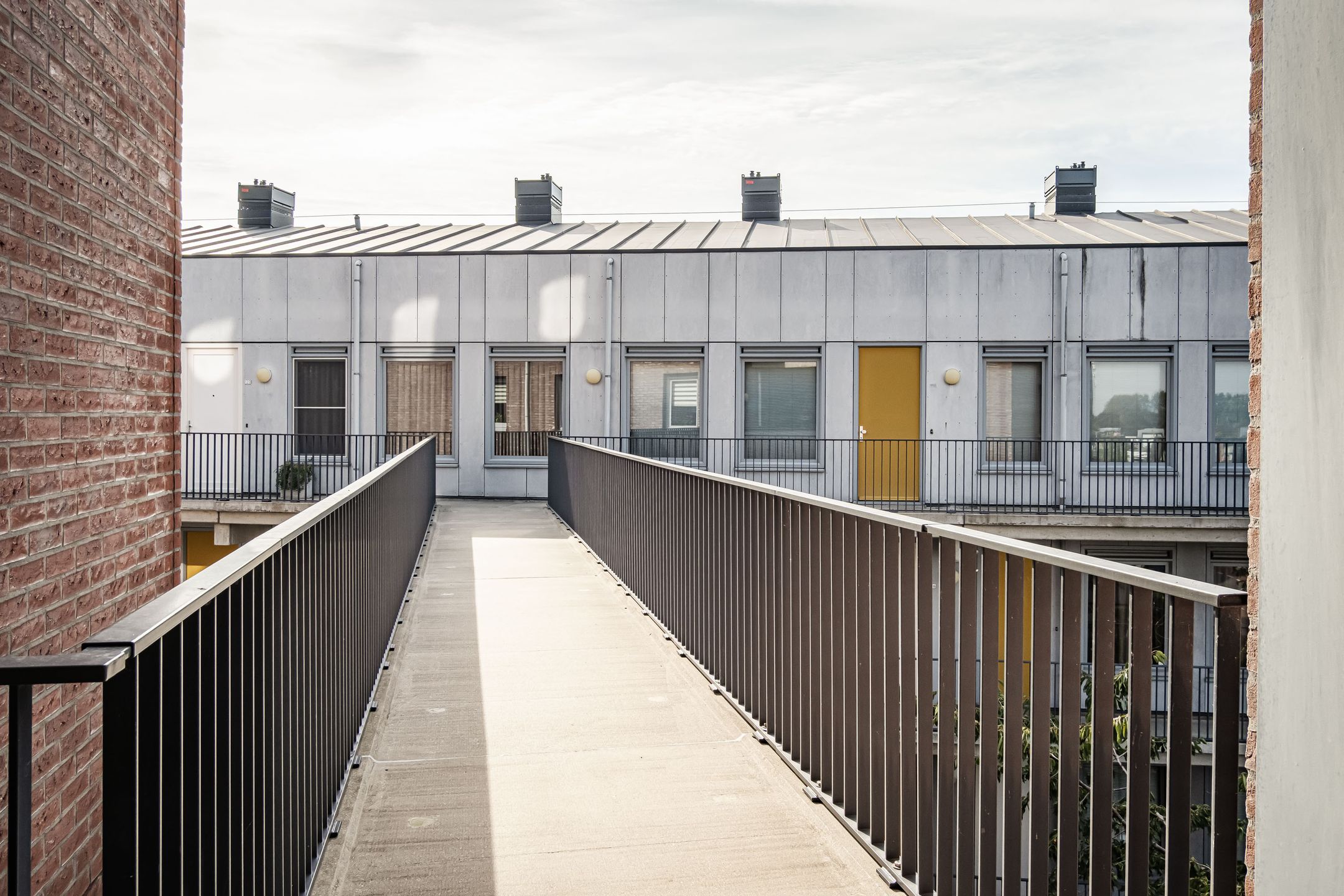 Photo 6 of Vesting 118