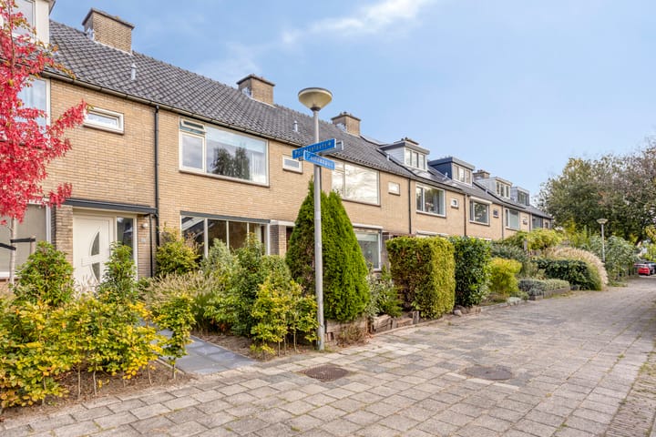 Foto 2 van Pelléaspad 11