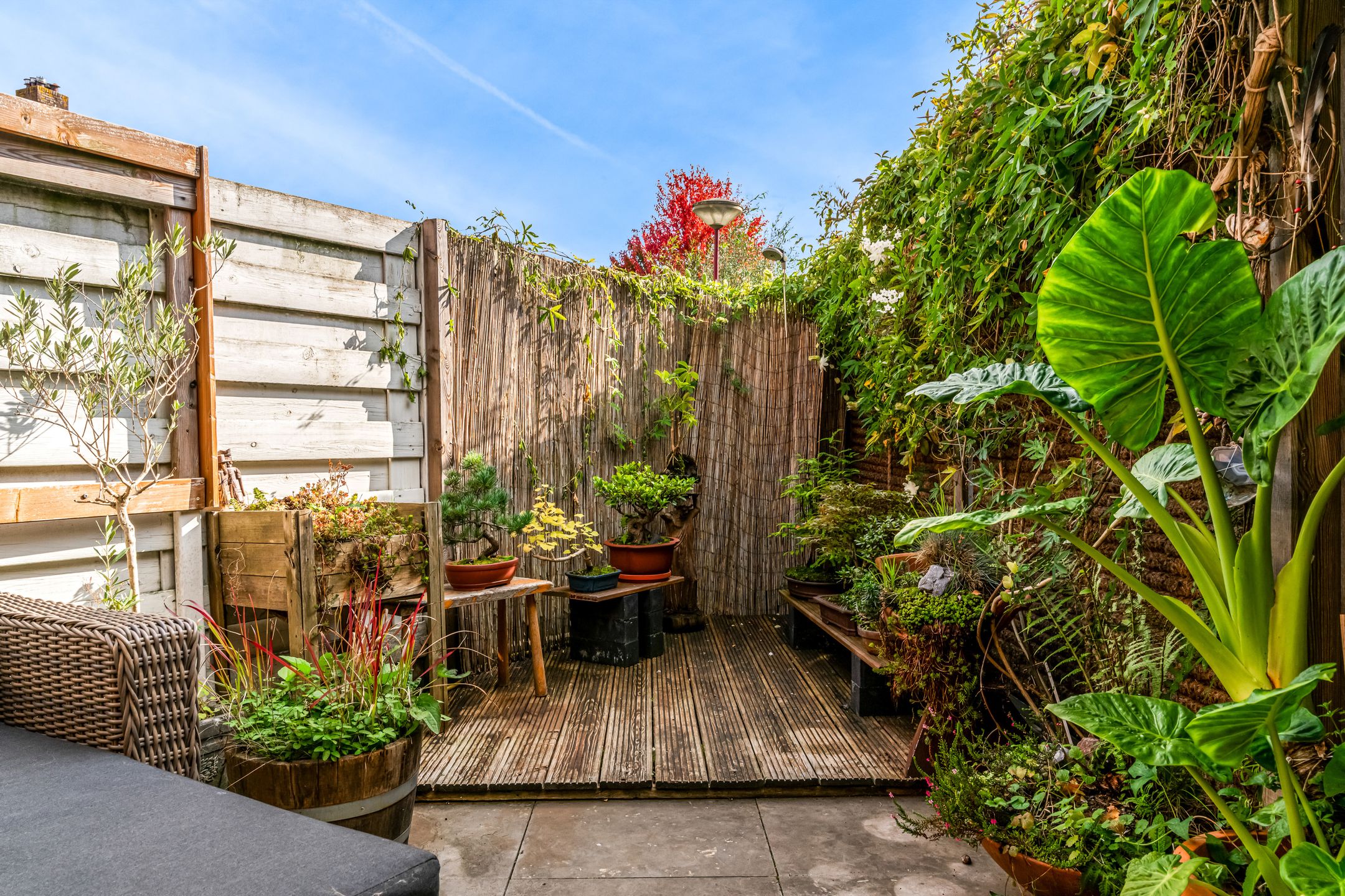 Foto 6 van Leeuwerik 9-A