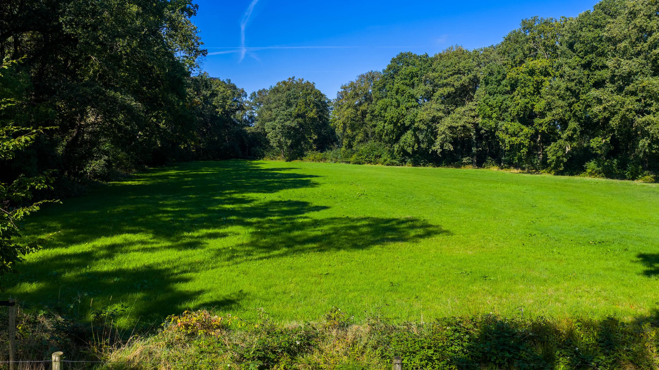 Foto 33 van Prof. Casimirweg 2