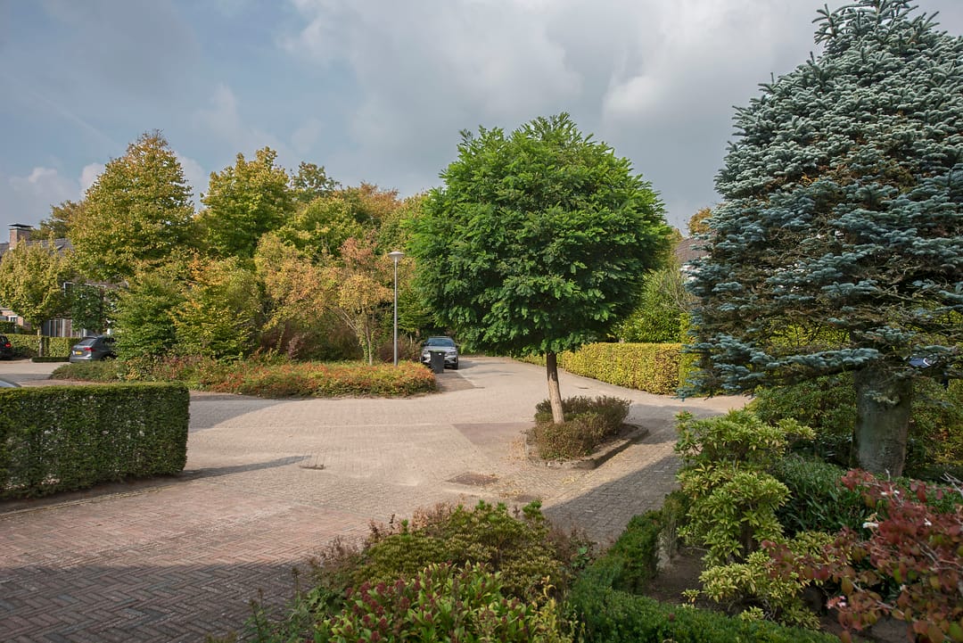 Photo 53 of Zuid Esch 11