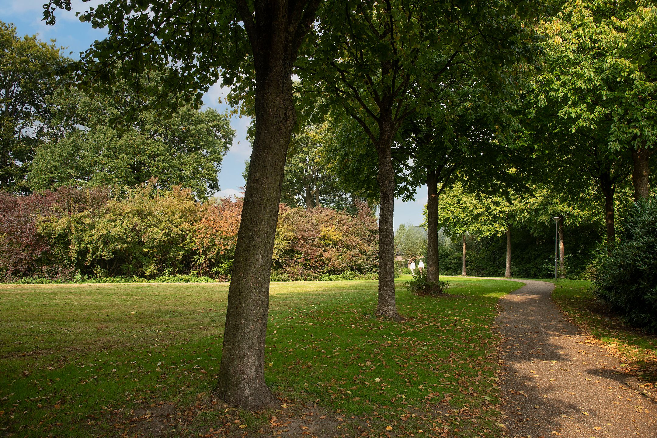 Photo 54 of Zuid Esch 11