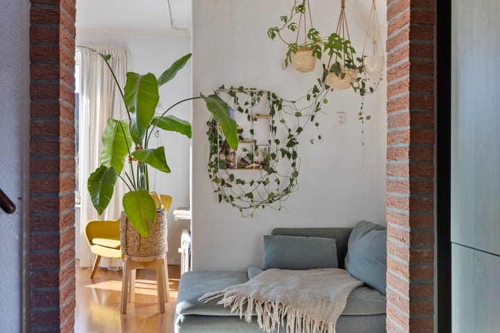 Foto 14 van Ruitenweg 25