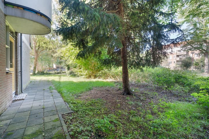 Foto 19 van Wamelplein 80