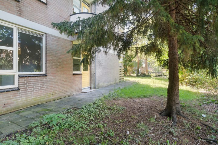 Foto 20 van Wamelplein 80