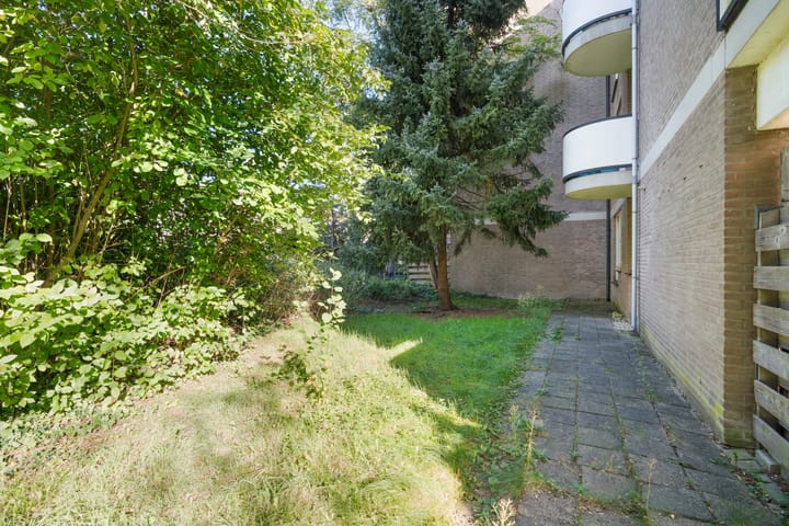 Foto 21 van Wamelplein 80