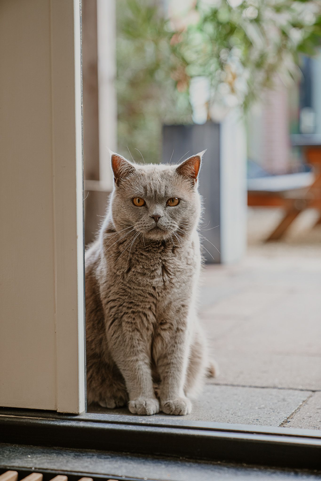 Foto 50 van Viaductstraat 49