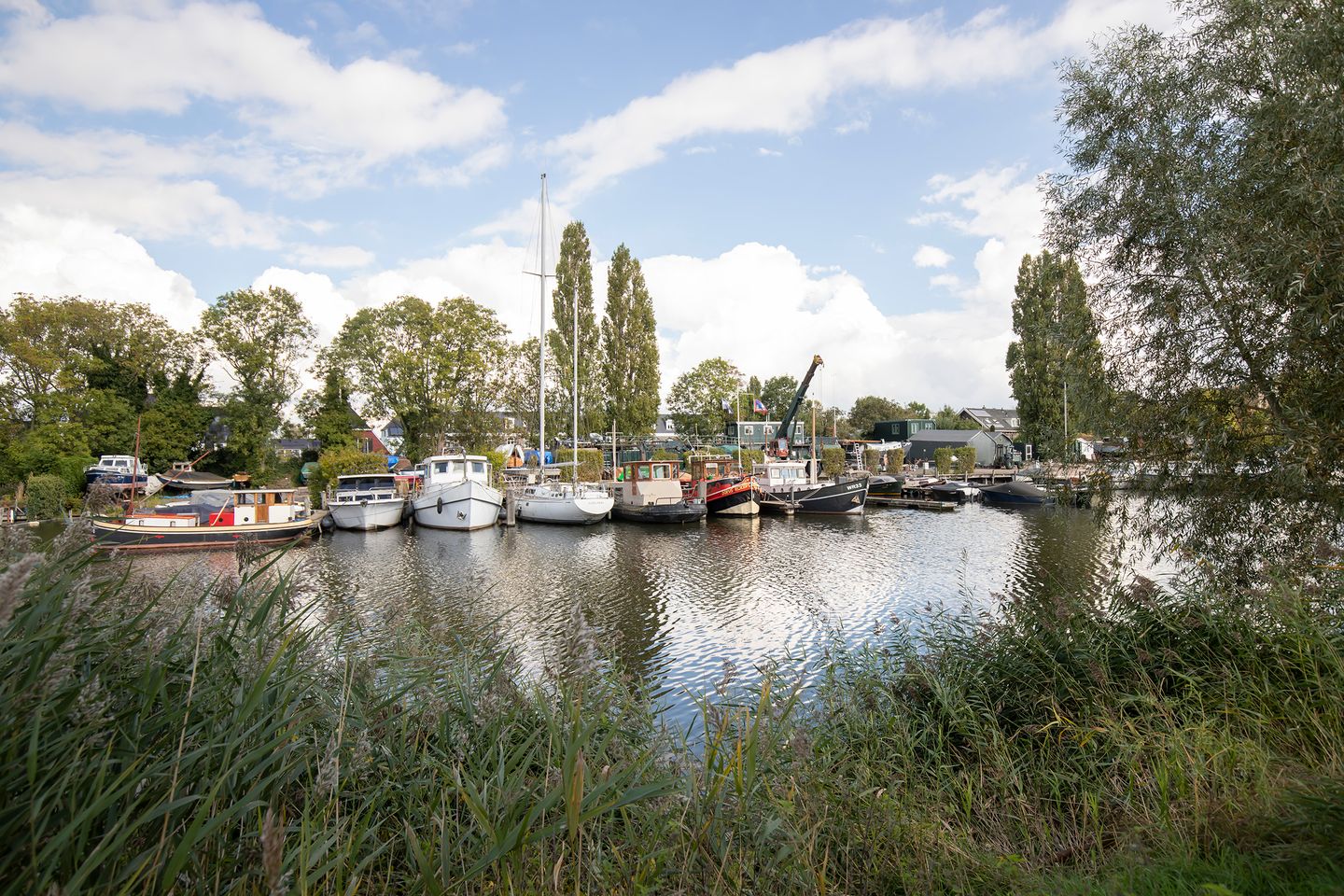 Photo 29 of Winterjanpad 14