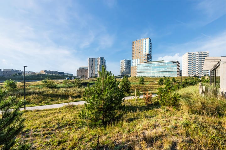 Foto 54 van Sterduinstraat 99