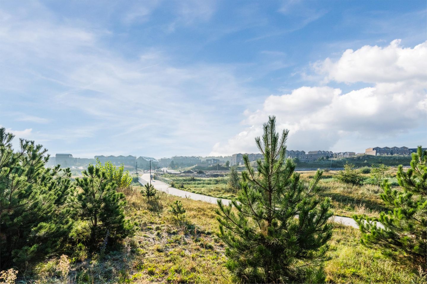 Foto 55 van Sterduinstraat 99