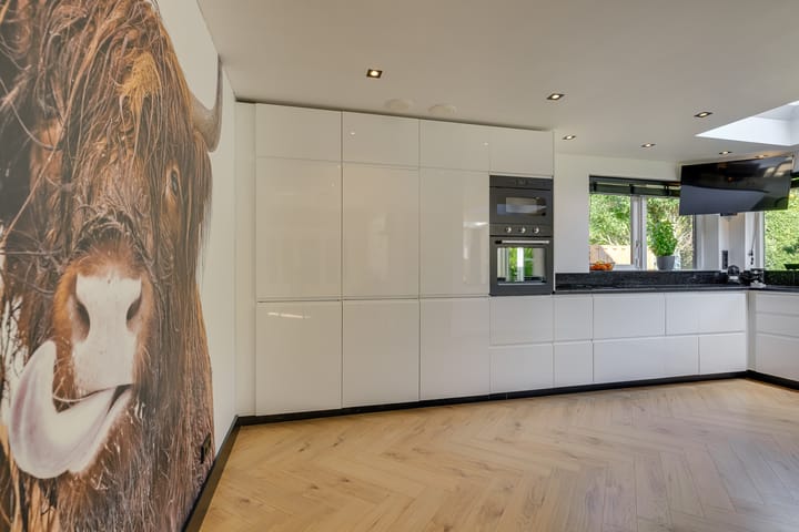 Foto 3 van Hof van Loosduinen 29