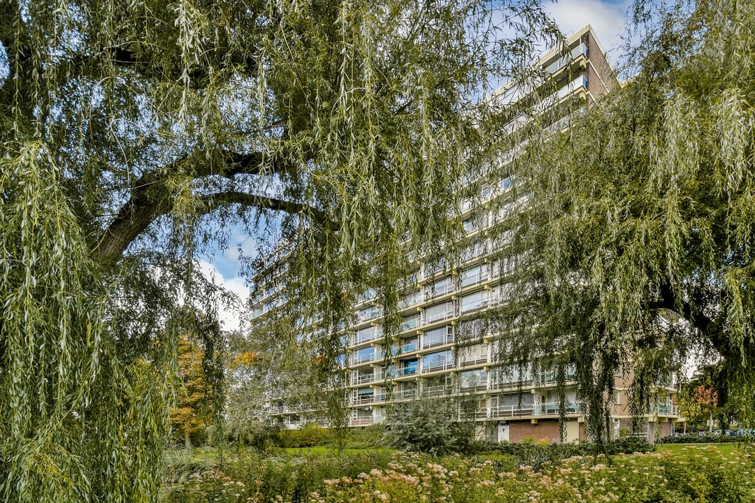 Photo 23 of Tobias Asserlaan 147