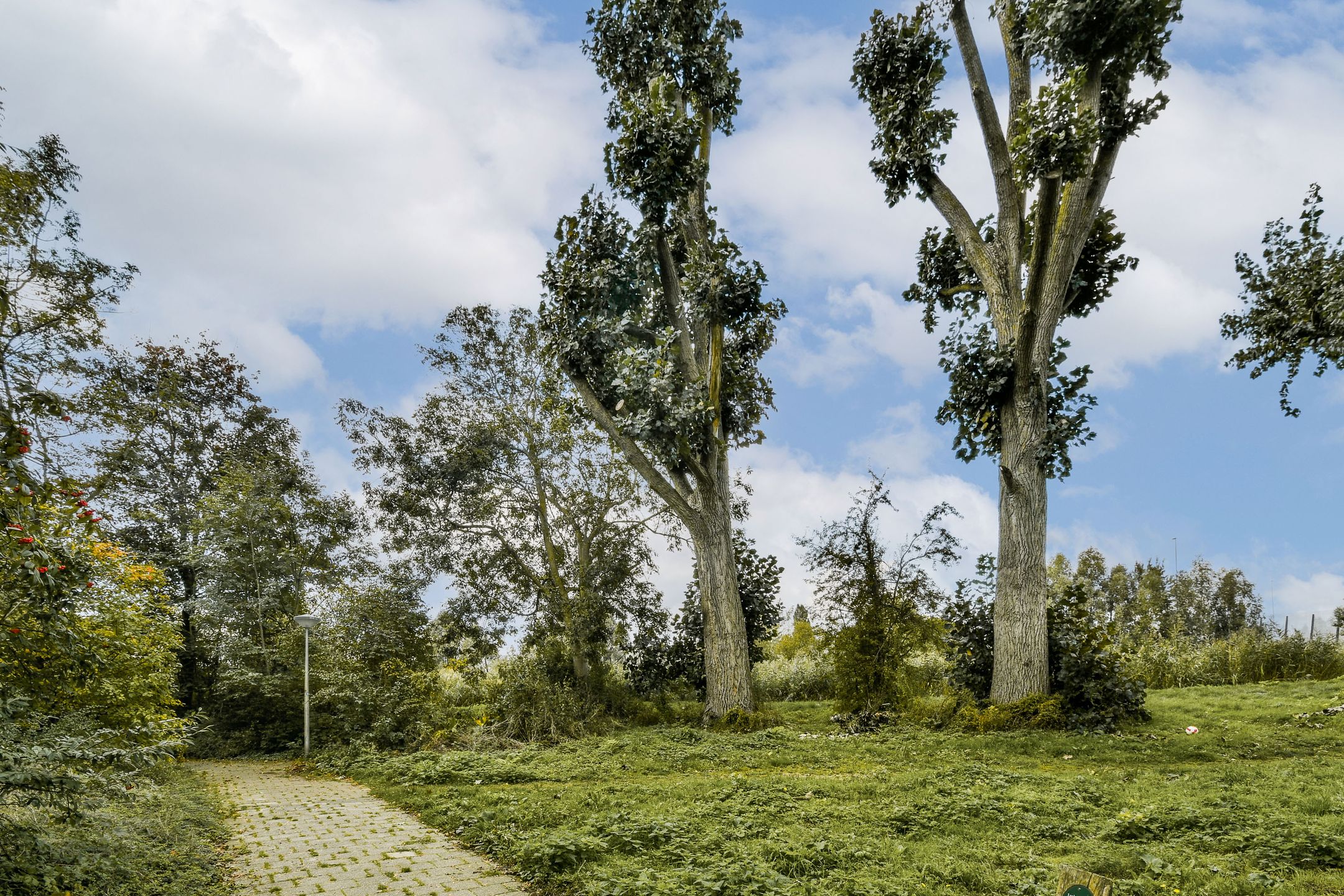 Photo 24 of Tobias Asserlaan 147