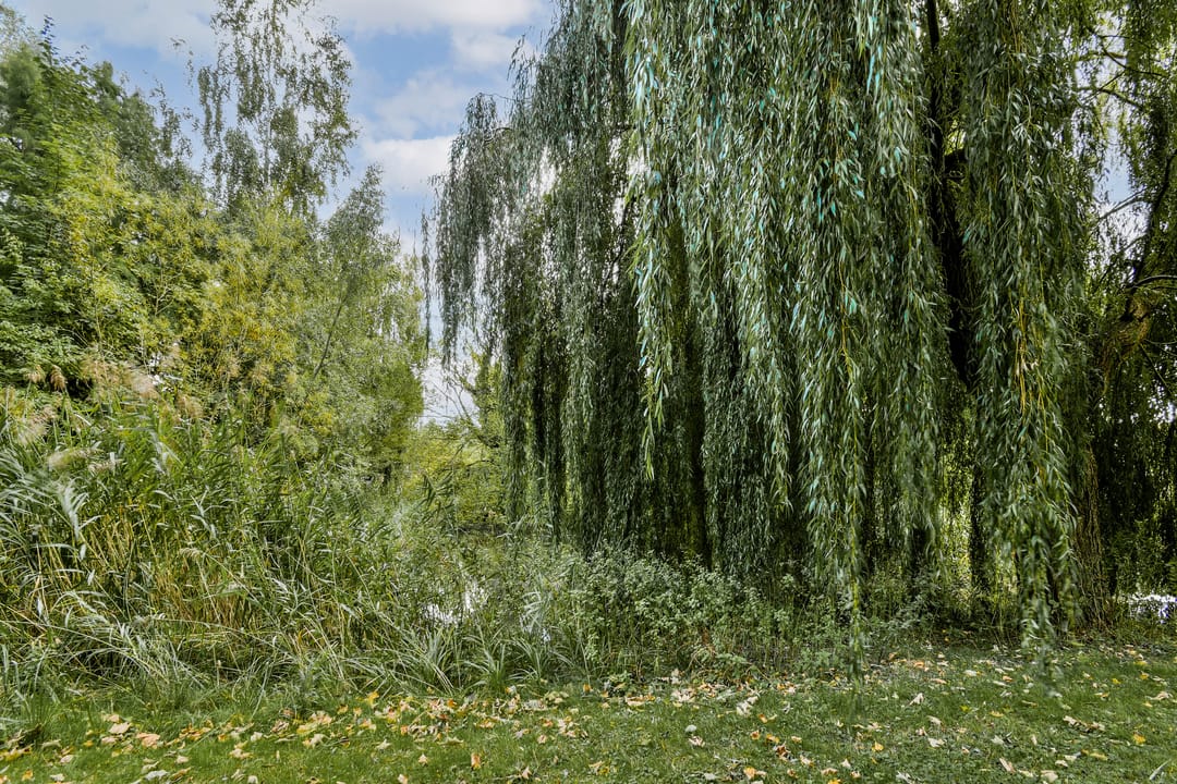 Photo 26 of Tobias Asserlaan 147