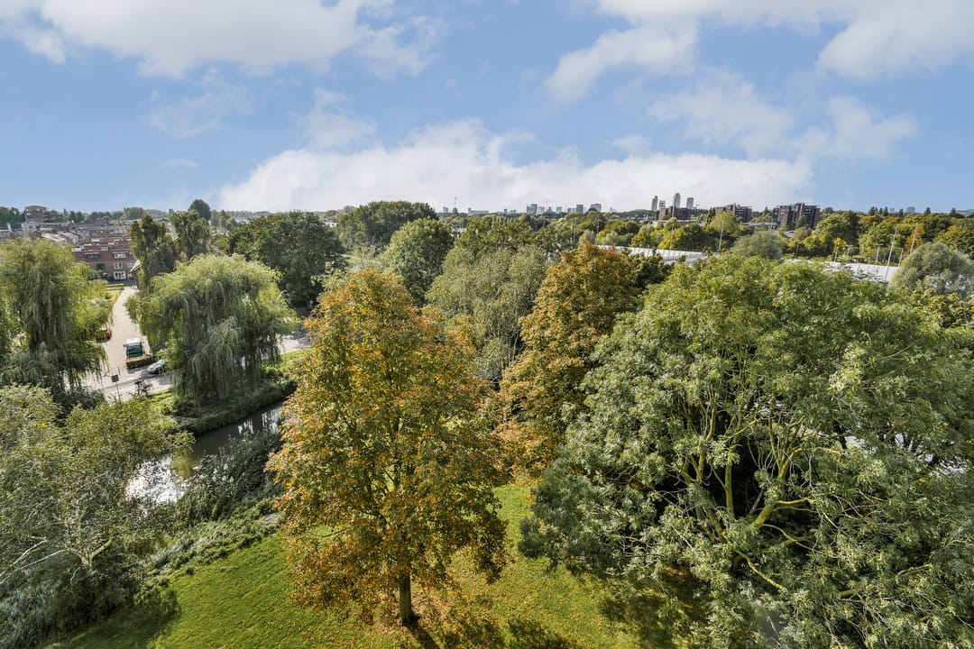 Photo 11 of Tobias Asserlaan 147