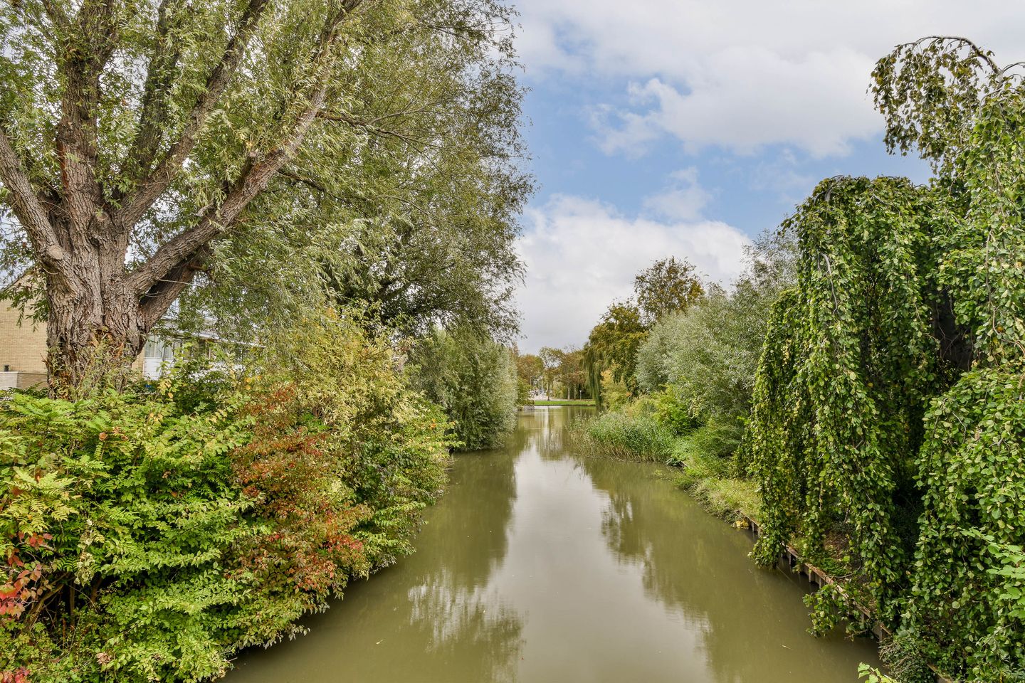Photo 29 of Doys van der Doesstraat 37