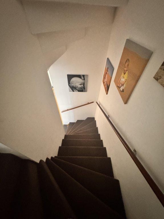 Foto 27 van Dierenriem 26