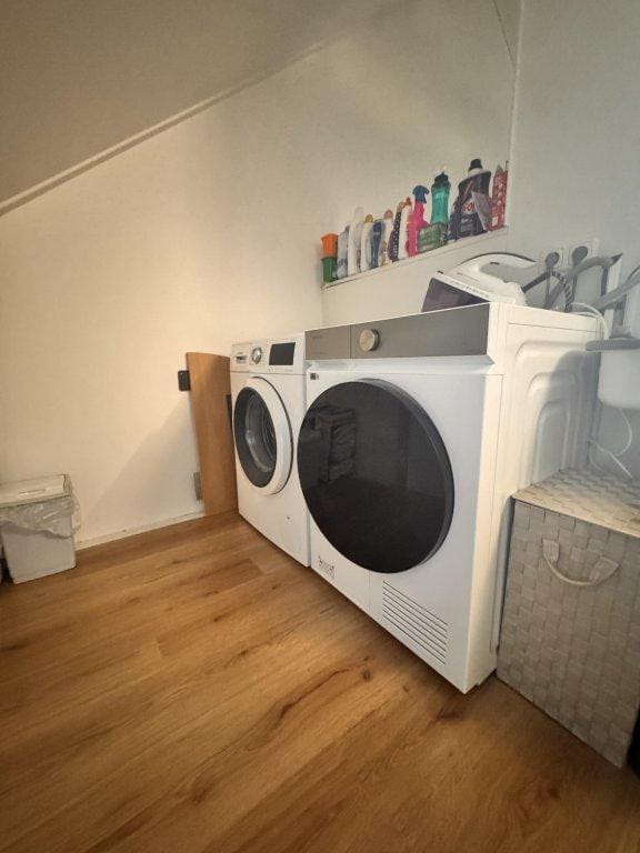 Foto 25 van Dierenriem 26