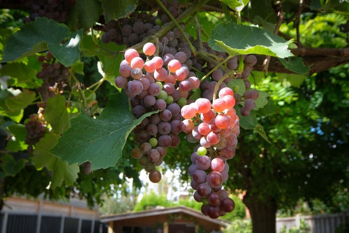 Foto 17 van Toekomststraat 126