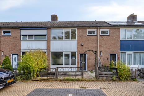 Oleanderstraat thumbnail