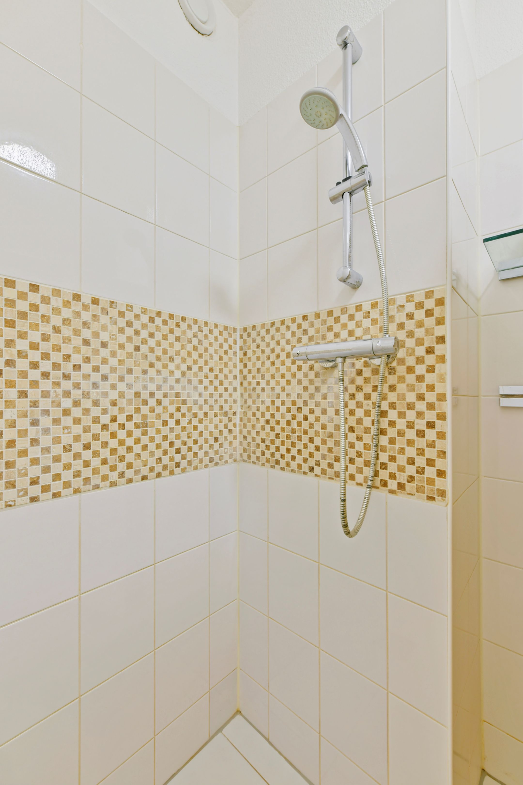 Foto 12 van Leeuwendalersweg 668