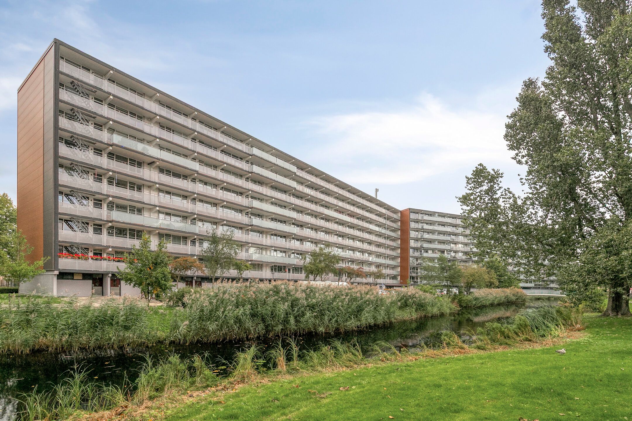 Arendshorst, 157, Leiden, 2317CZ, Zuid-Holland, Nederland 157