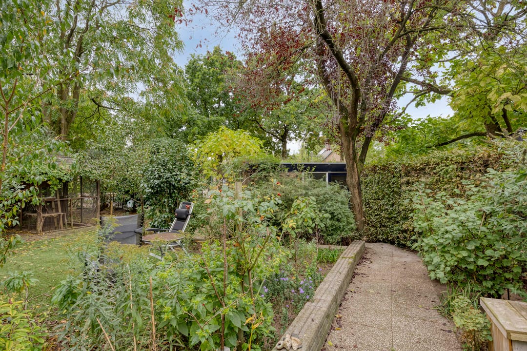 Foto 41 van De Bats 12