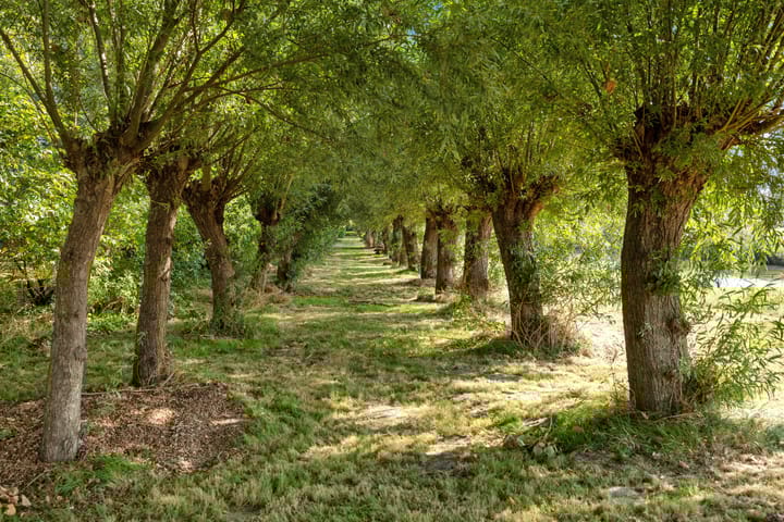 Photo 32 of Laaijekreekseweg 2