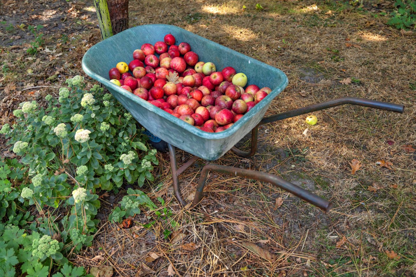 Foto 35 van Laaijekreekseweg 2