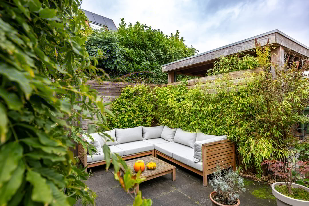 Photo 28 of Joeswerd 45