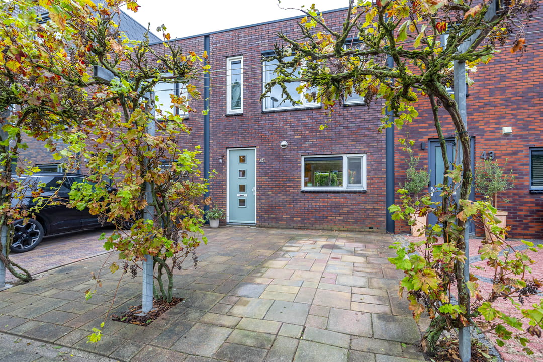 Photo 31 of Joeswerd 45