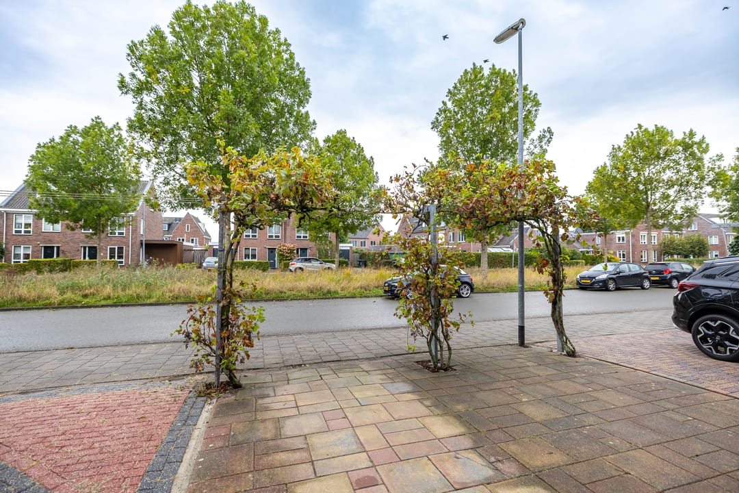 Photo 32 of Joeswerd 45