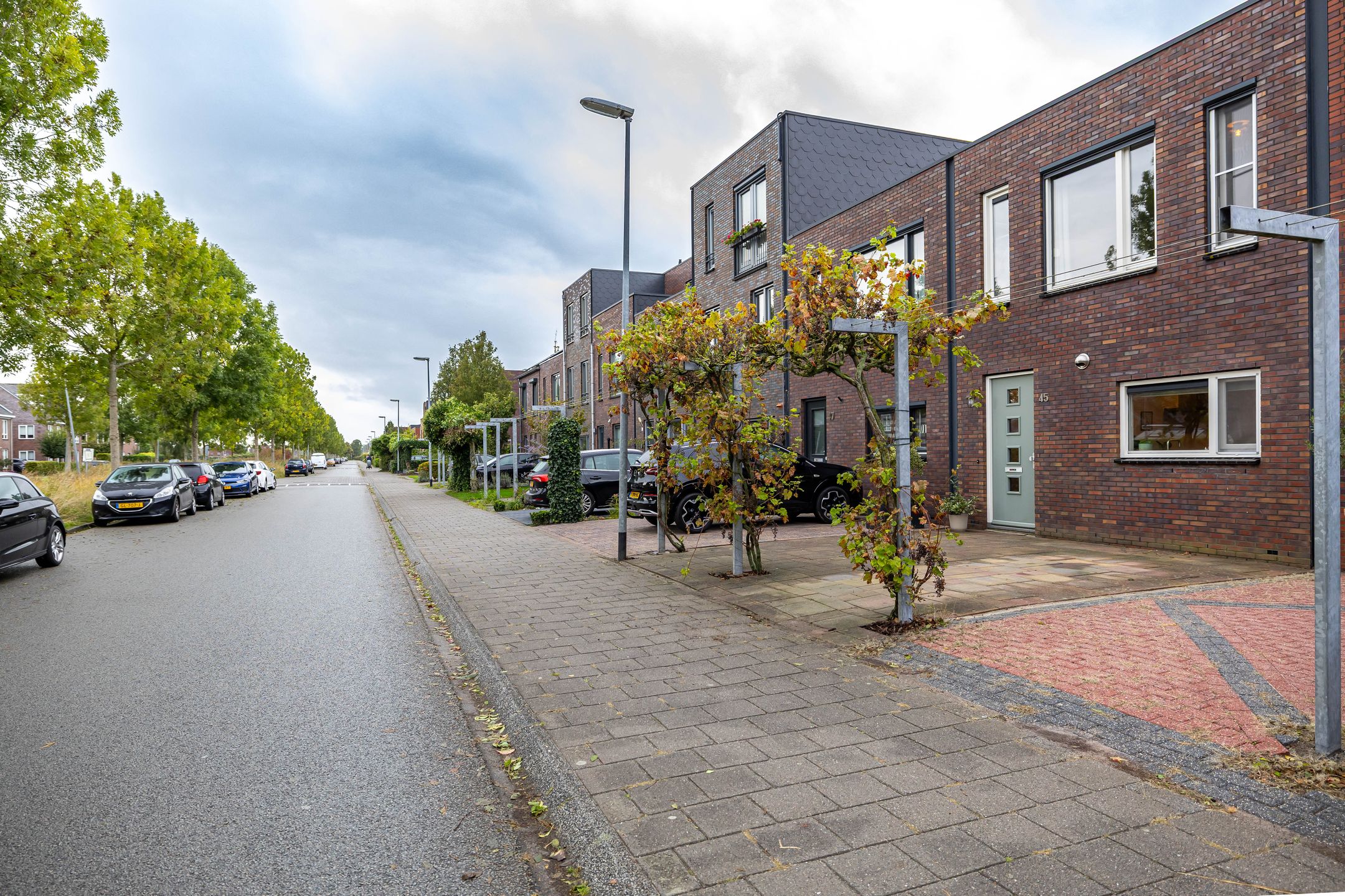 Photo 33 of Joeswerd 45